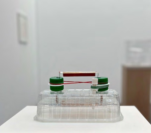 doerte_behn_ludwigsburg_ausstellung II_2023.jpg